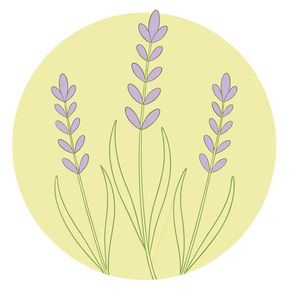 Elegant Lavender Blooms Simple Line Art Botanical Illustration vector