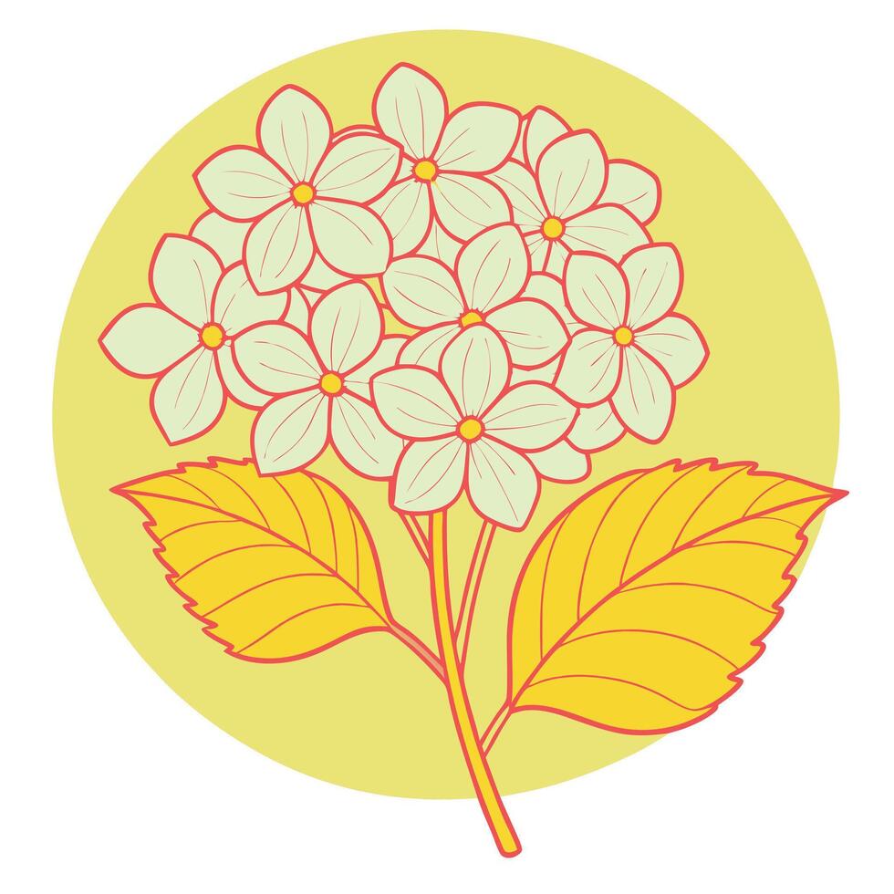 Elegant Hydrangea Blossom Illustration Pale Green Flowers, Yellow Leaves vector