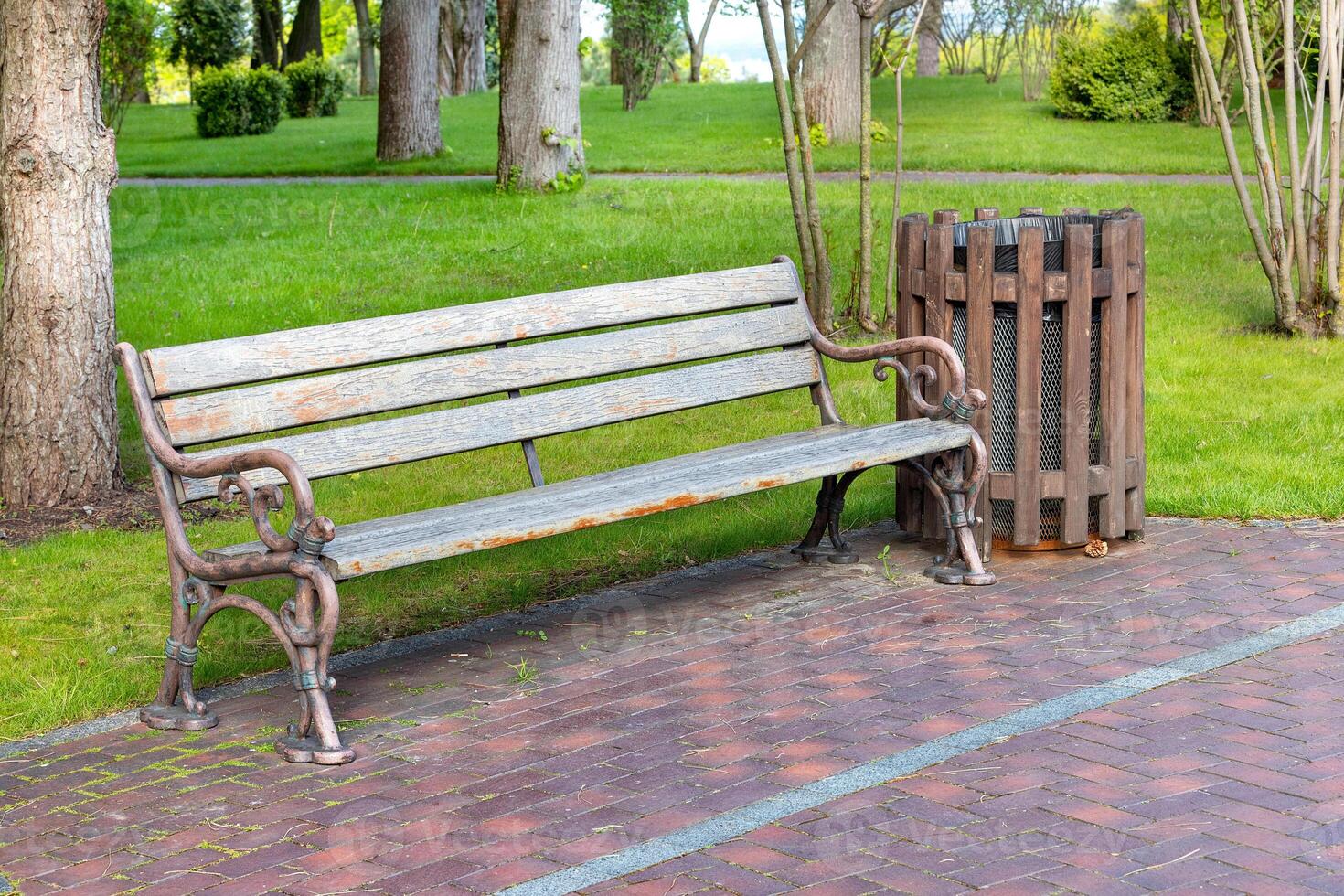 A bench in the park against the background of powerful tree trunks of the city park and green, neatly cut grass. photo