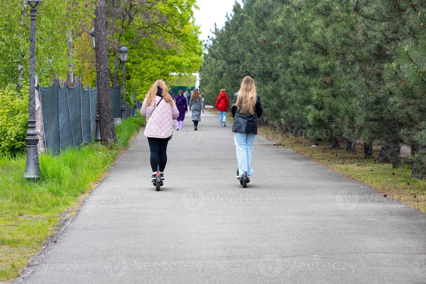 Girls on electric scooters ride along an asphalt park road on a spring day. photo