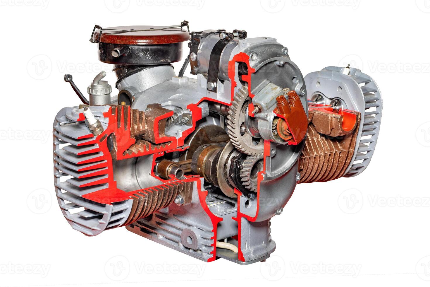 Exploring the intricate design of a classic two-stroke engine in detailed cross-section, isolated on white background. photo