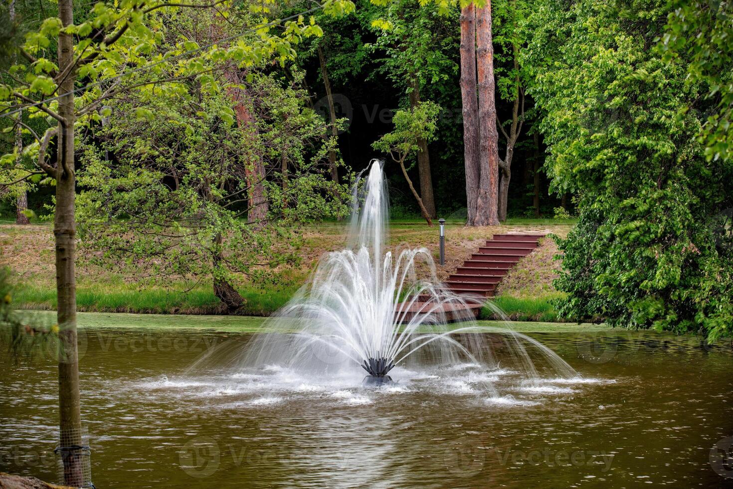 Water fountain creates a mesmerizing display in a tranquil park during springtime photo