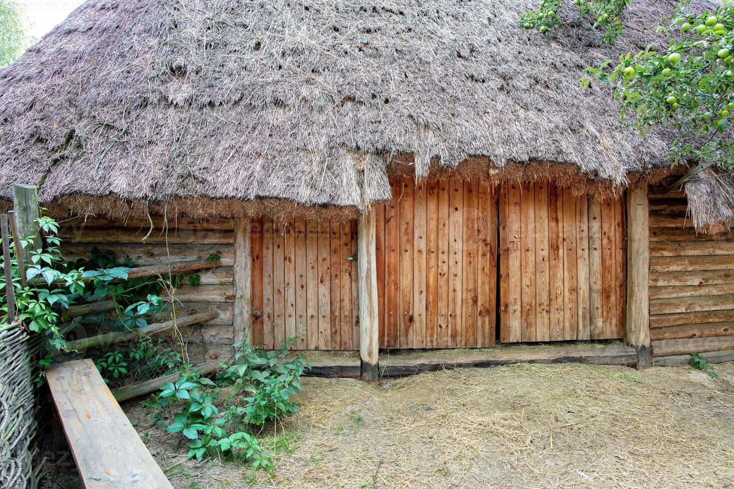 Rustic charm of an ancient thatched roof cottage nestled in a lush green landscape photo