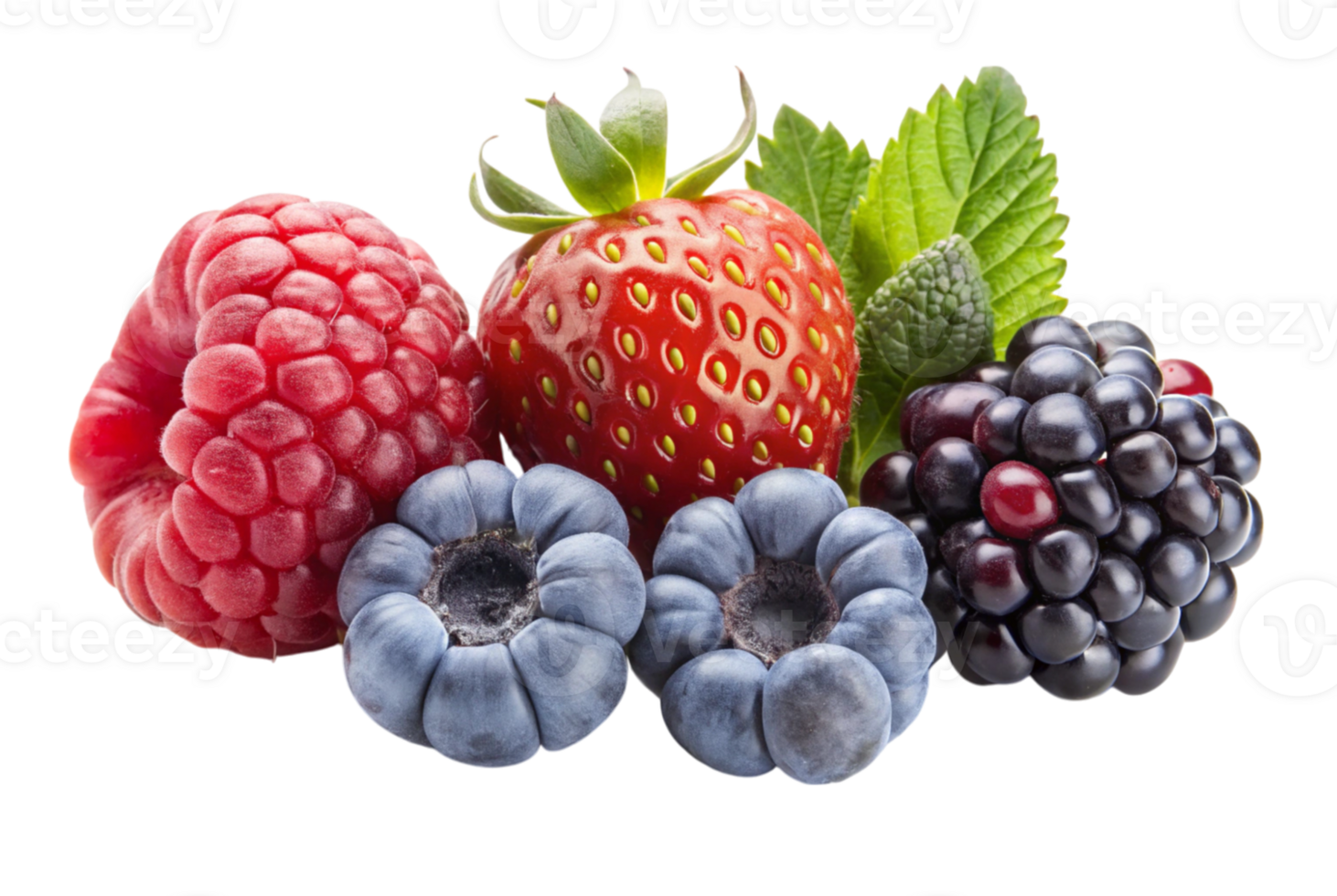 Berry Bites Perfect Blend of Nature Fresh Flavors png