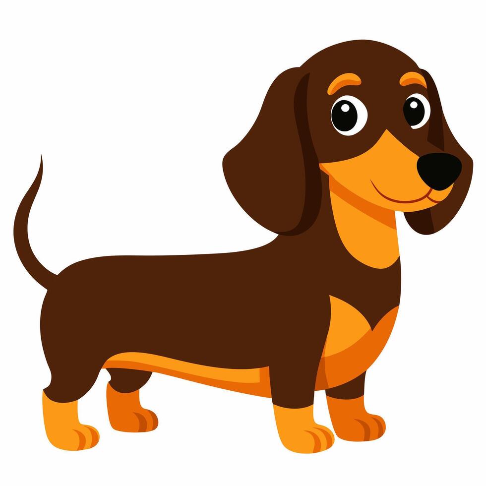 Beautiful cartoon dog dachshund isolated on white background. Side view. vector
