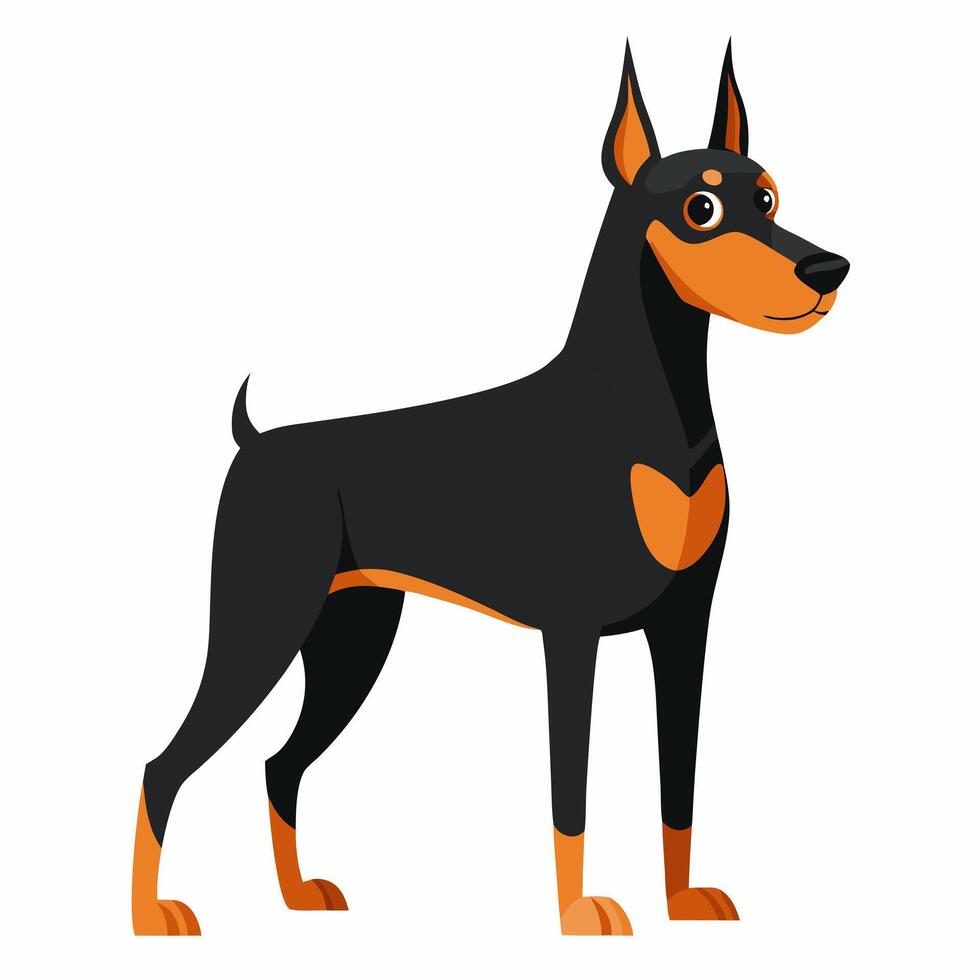 Cute cartoon dog doberman isolated on white background. Side view. vector