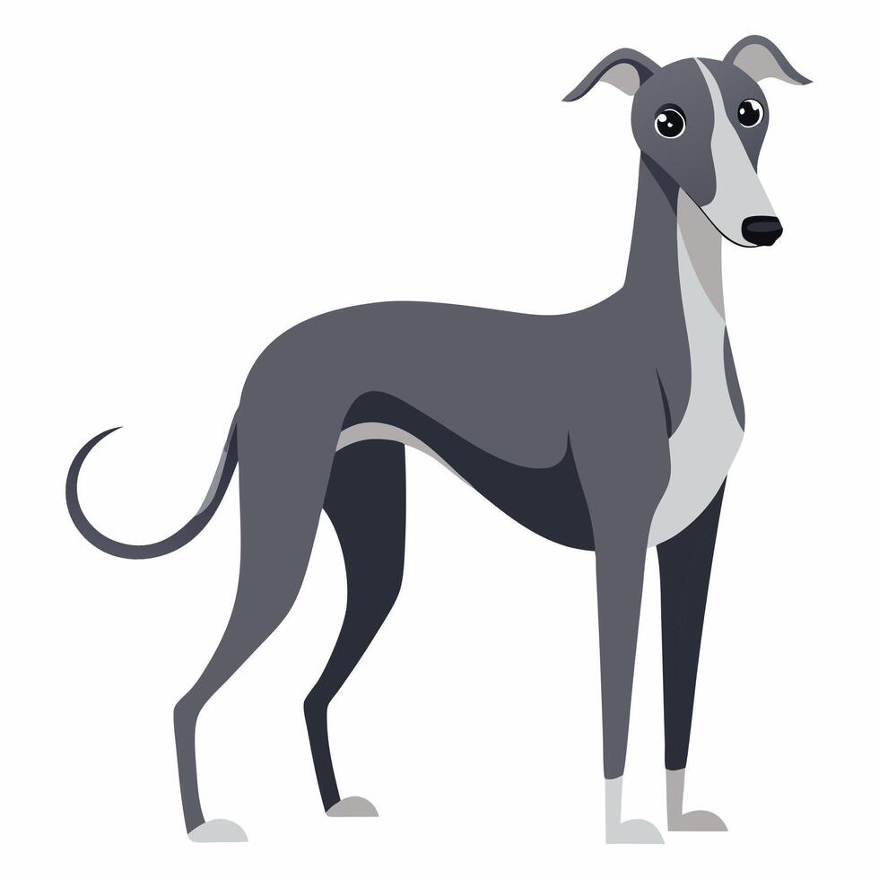 Cute cartoon dog greyhound isolated on white background. Side view. vector