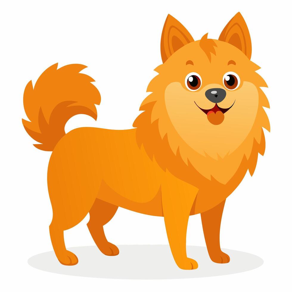 Cute cartoon dog spitz isolated on white background. Side view. vector