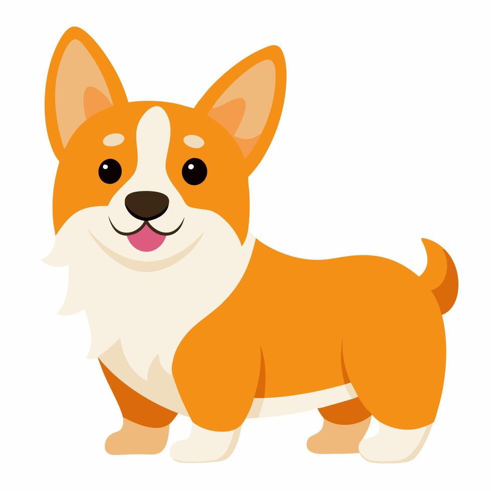 Cute cartoon dog welsh corgi isolated on white background. Side view. vector