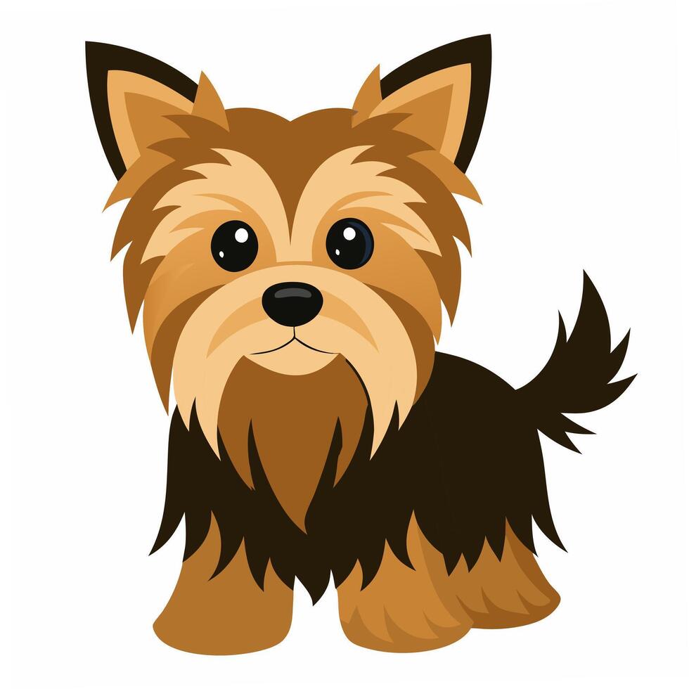 Beautiful cartoon dog yorkshire terrier isolated on white background. Side view. vector