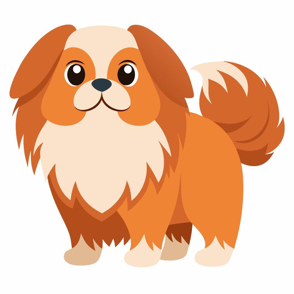 Cute cartoon dog pikinese isolated on white background. Side view. vector