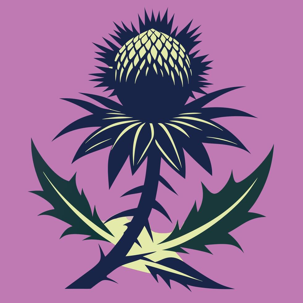 Scotch Thistle And Leaves with colorful background vector