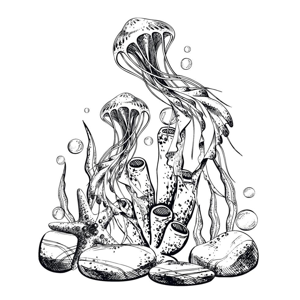 Jellyfish, seashell, coral, starfish, sea sponge, algae, pebbles and bubbles. Hand drawn graphic illustration in black and white color line art. Sublimation arrangement on marine theme vector