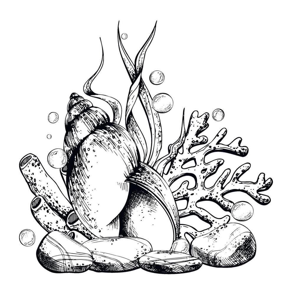 Sea shell, coral, sea sponge, algae, pebbles and bubbles. Hand drawn graphic illustration in black and white color line art. Sublimation arrangement on marine theme vector