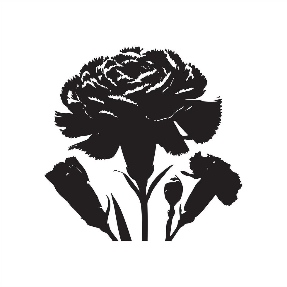 Carnation Flower black silhouette on white background vector