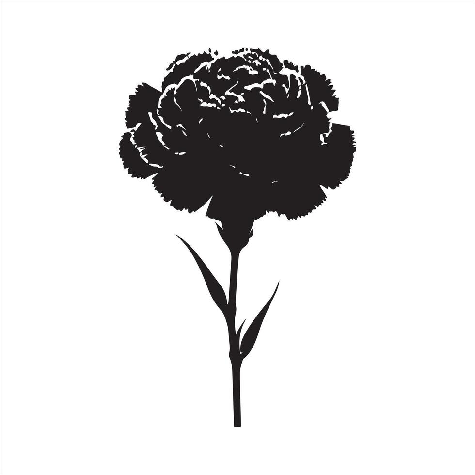 Carnation Flower silhouette white background vector