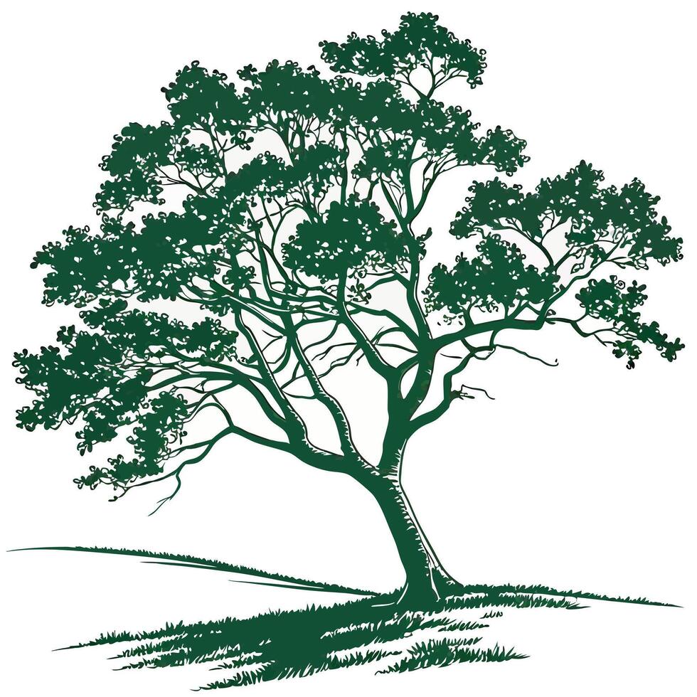 Green Tree Illustration with Simple Nature Design vector