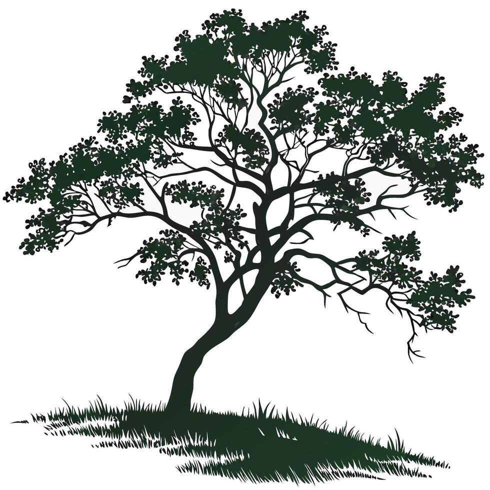 Green Tree Drawing Illustration for and Art Projects vector