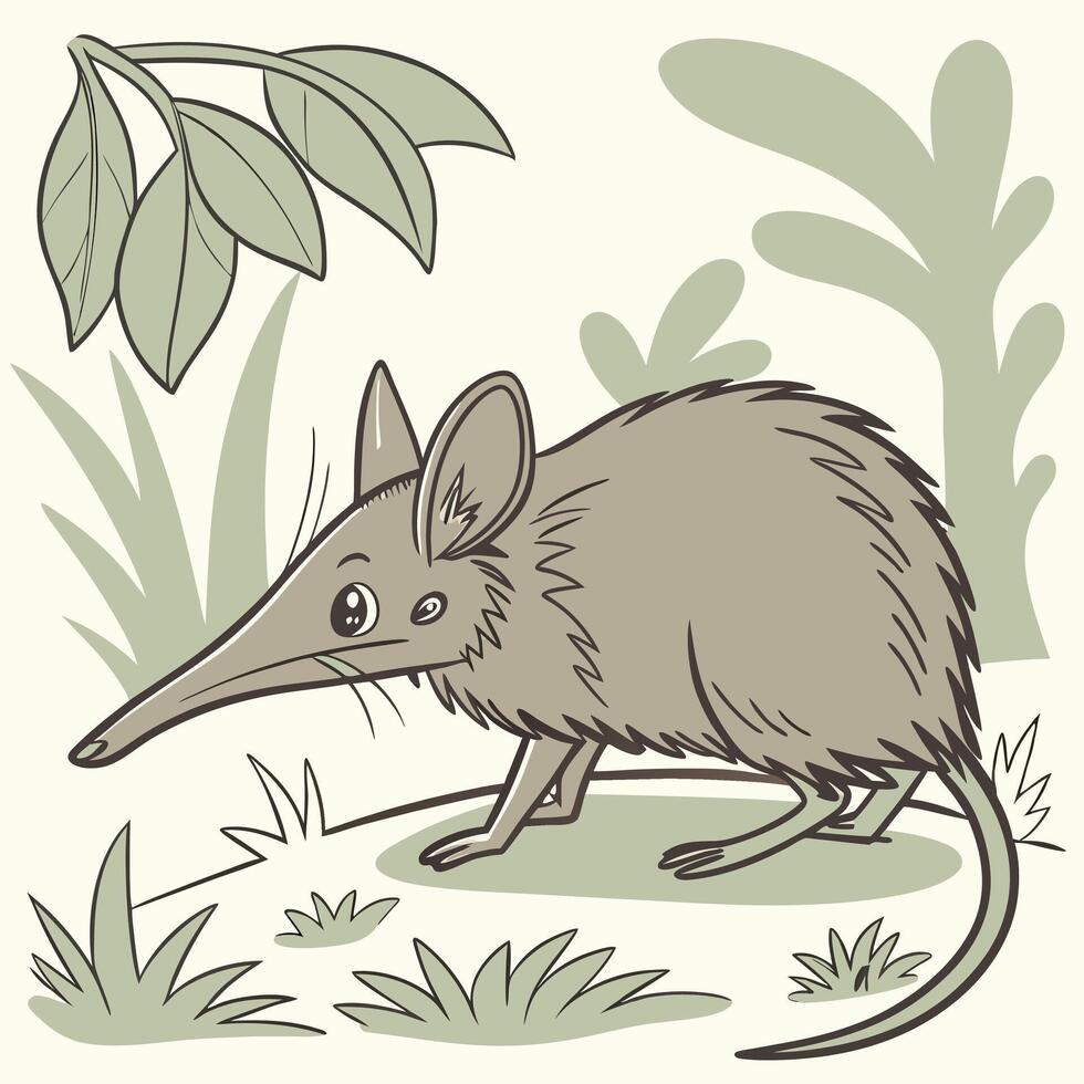 Realistic Full Body Elephant Shrew Illustration Wildlife and Nature Design vector