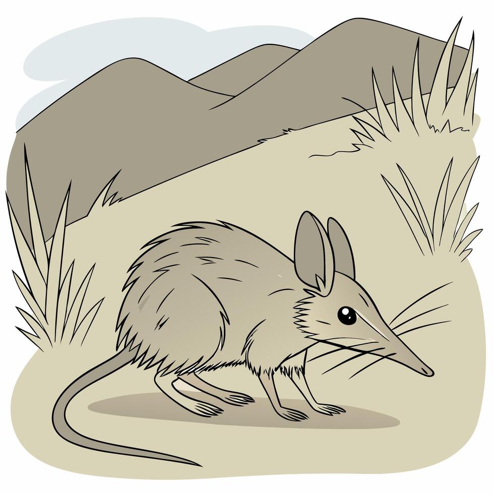 Realistic Full Body Elephant Shrew Illustration for and Nature Designs vector