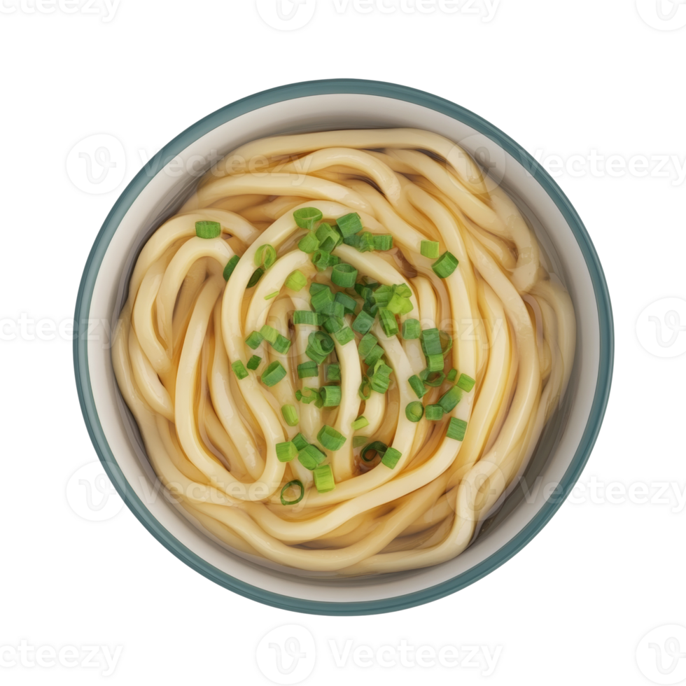 Delicious Udon Noodles in a Bowl with Green Onions png