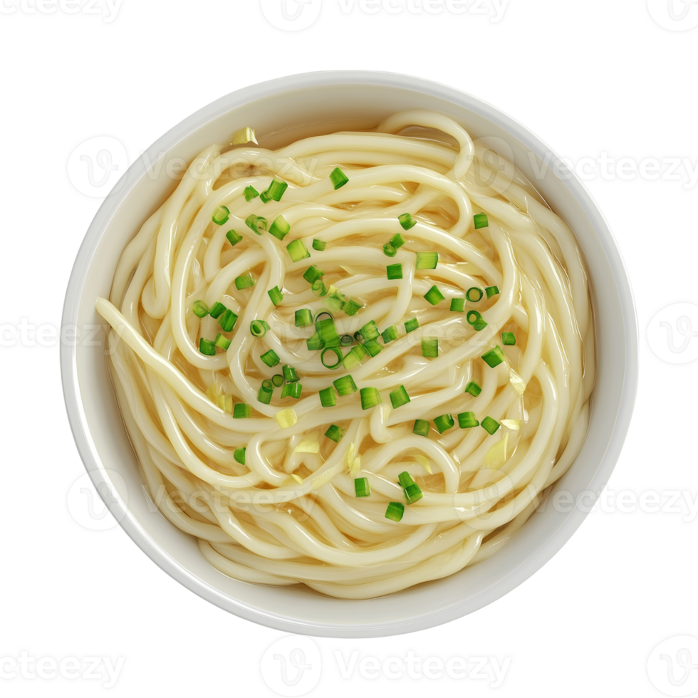A Bowl of Noodles Topped with Green Onions png