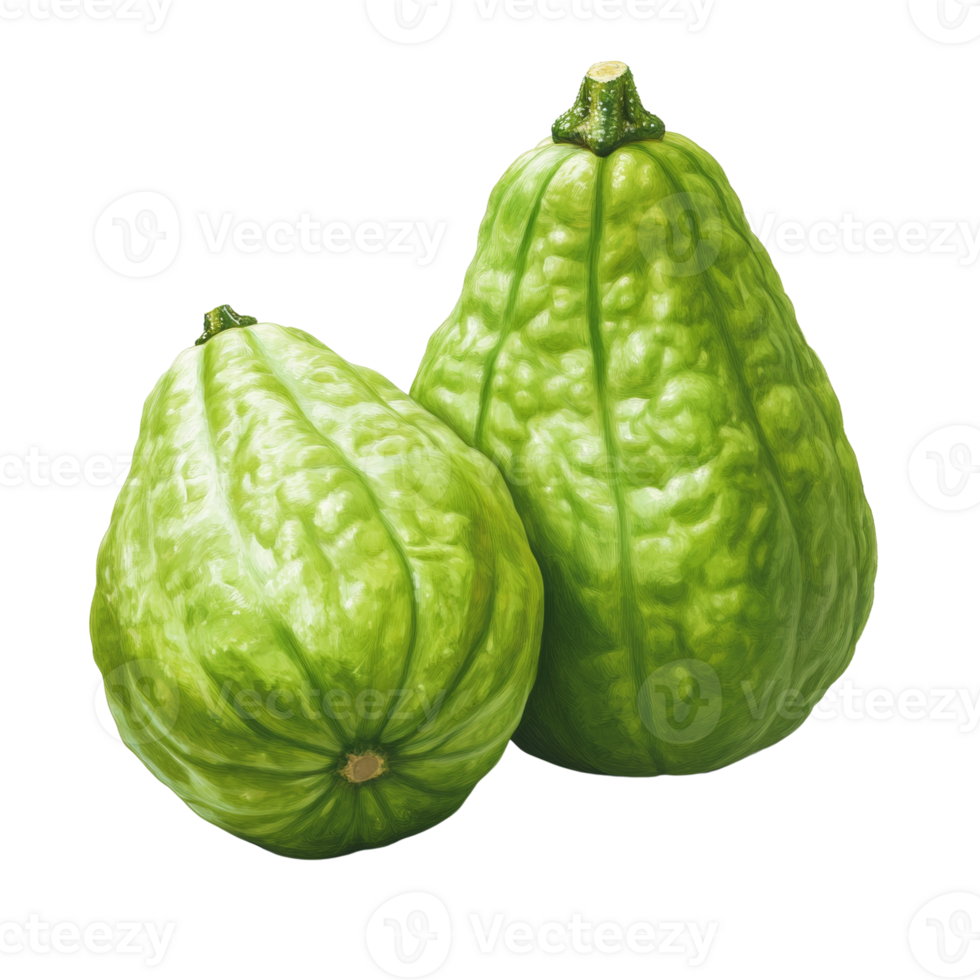 Two Green Gourds Resting Side By Side On White png