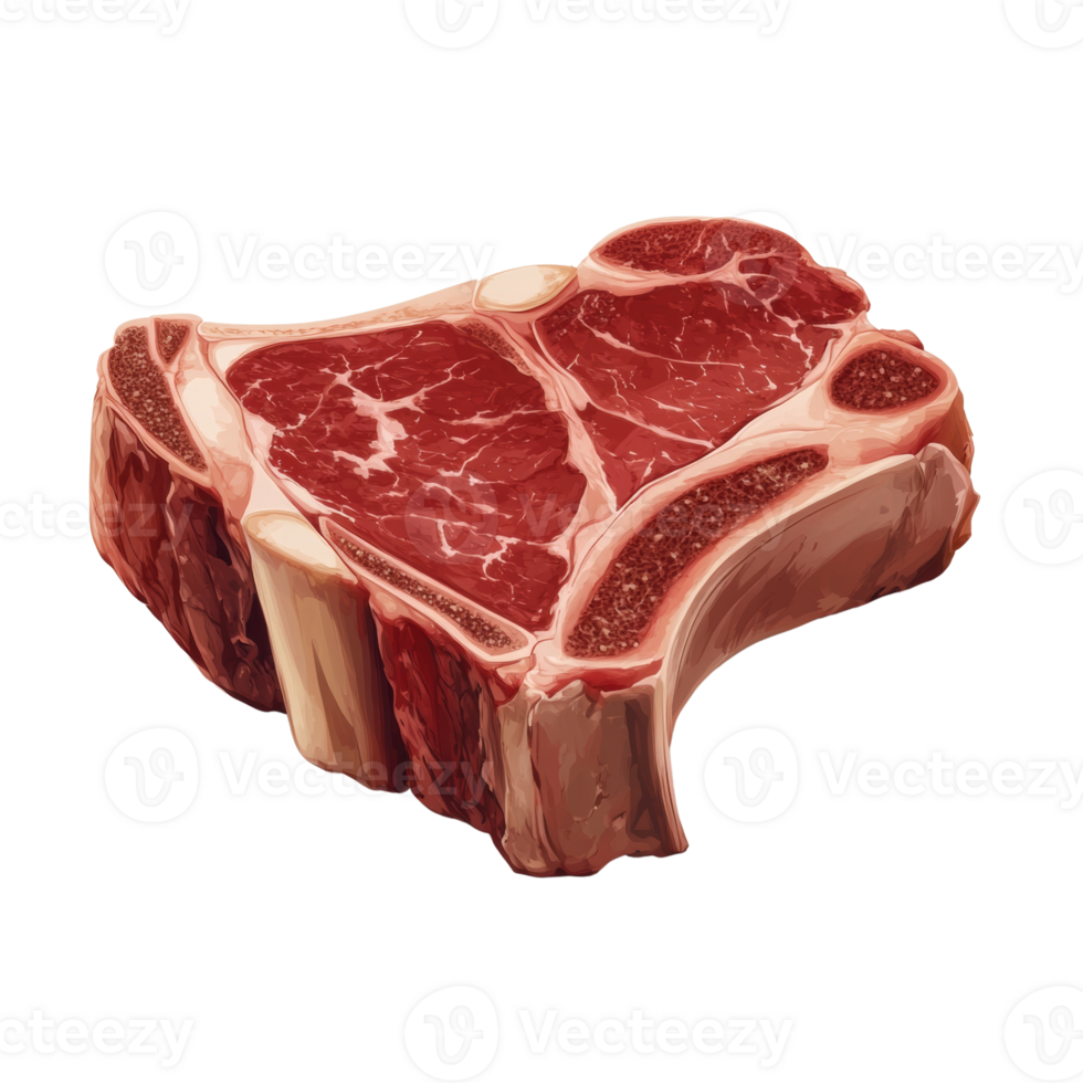 A single raw beef steak bone in cut png