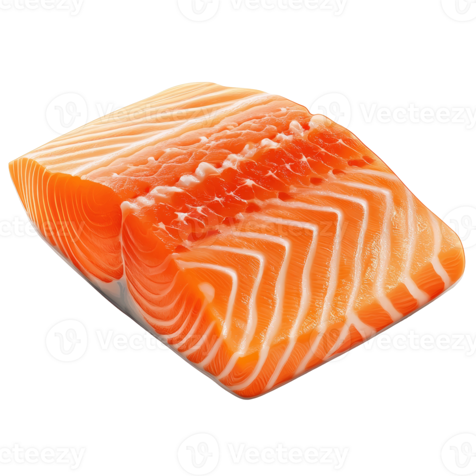 Fresh Salmon Fillet Ready For Cooking png