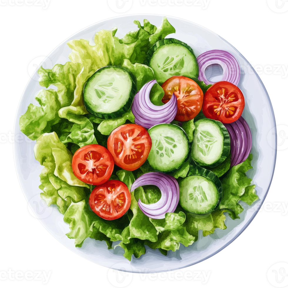 Fresh Salad with Tomatoes Cucumbers and Onions png
