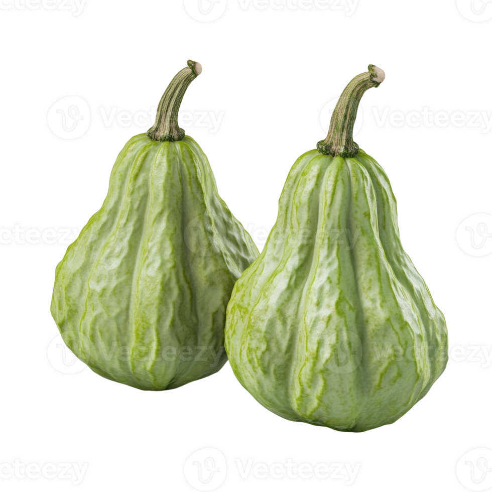 Two Green Warty Gourds Resting Side by Side png