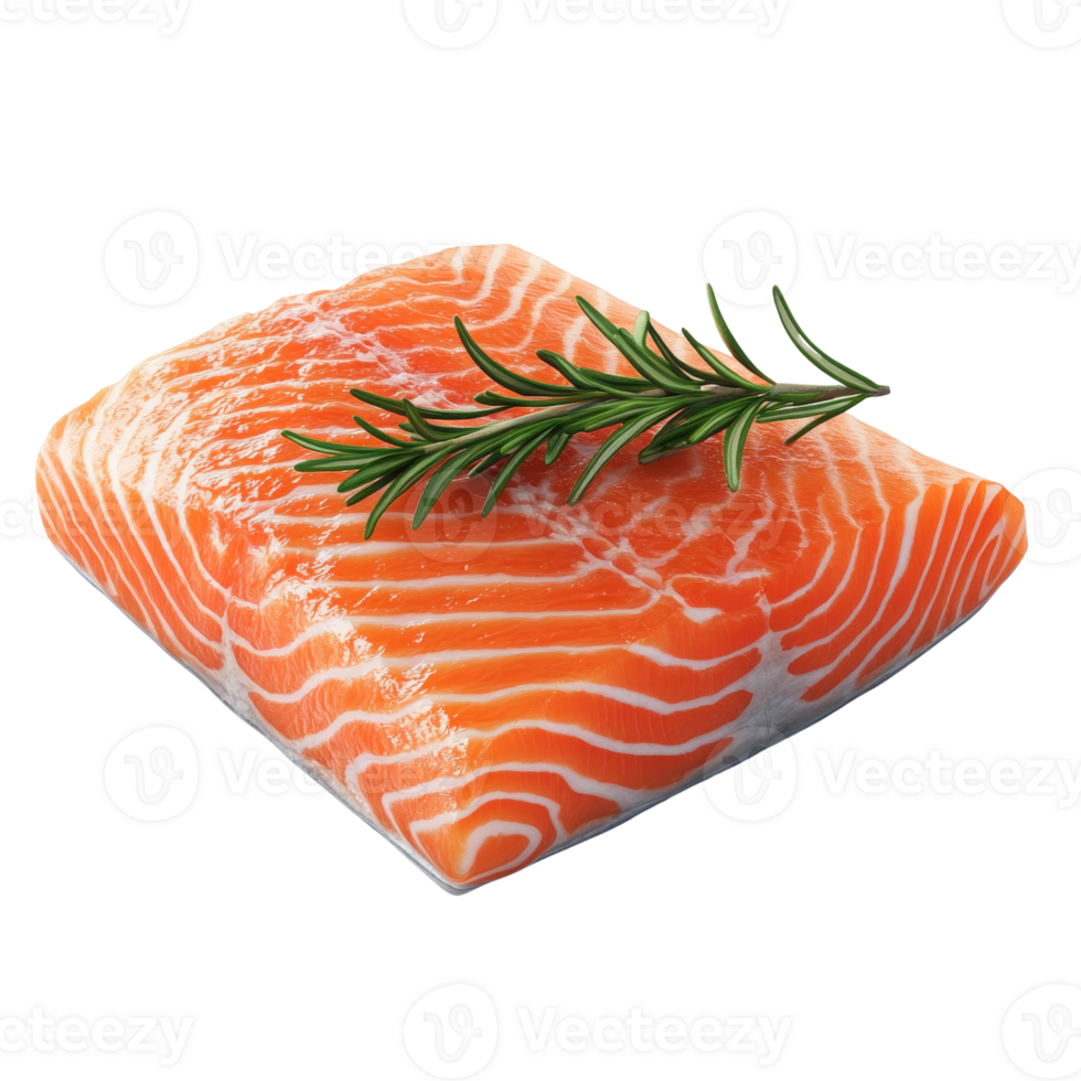 Fresh Salmon Fillet with Rosemary Sprig png