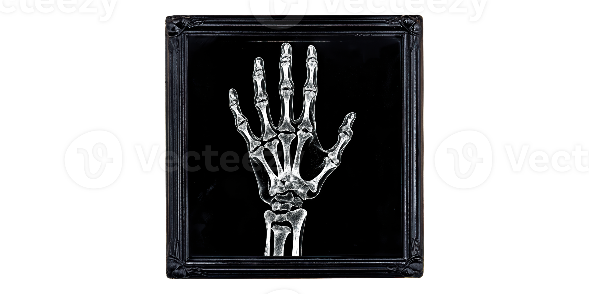 Skeleton hand framed artwork isolated on transparent background png