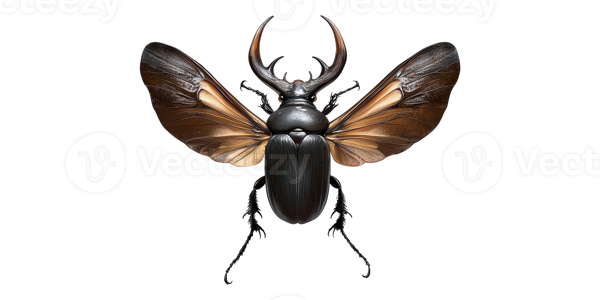 Detailed hercules beetle with open wings isolated on transparent background png