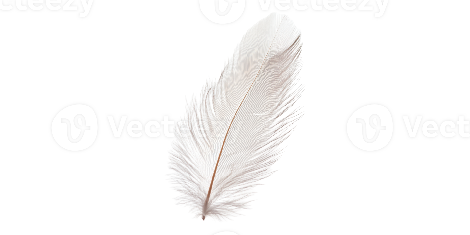 White feather on transparent background isolated on transparent background png