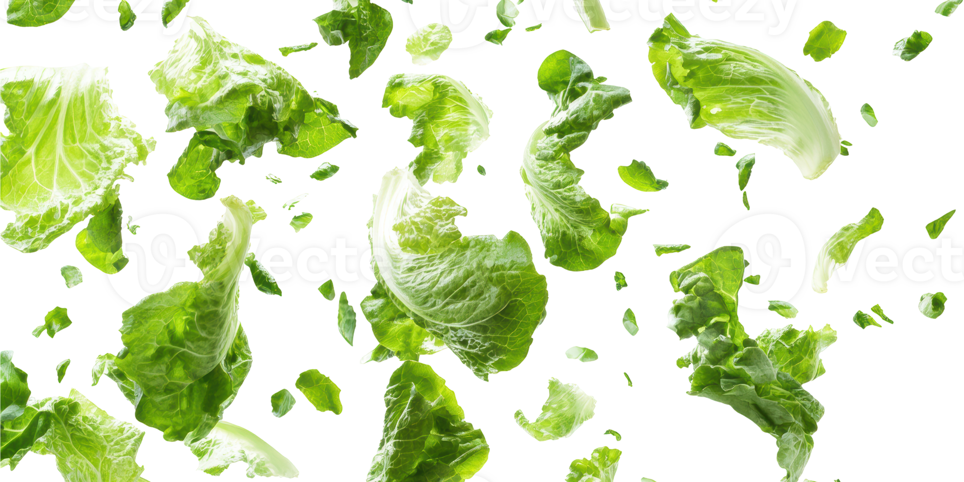 Green lettuce leaves floating in air isolated on transparent background png