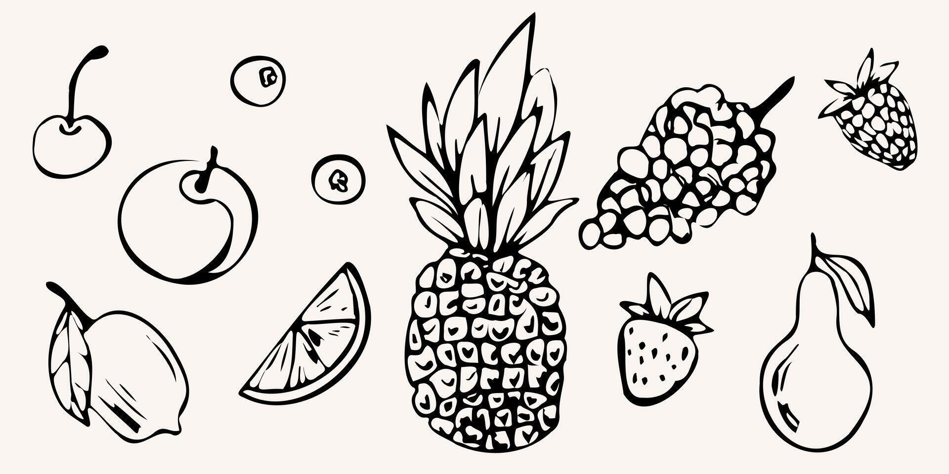 Hand drawn set with fruits. pineapple, lemon, pear, cherry and grapes in whimsical line art style. Monochrome illustration for menu, design prints, packaging, posters, and invitations vector