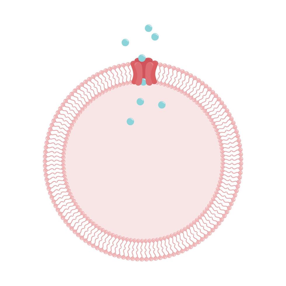 Cell with phospholipid bilayer membrane and porin ion channel transport protein vector