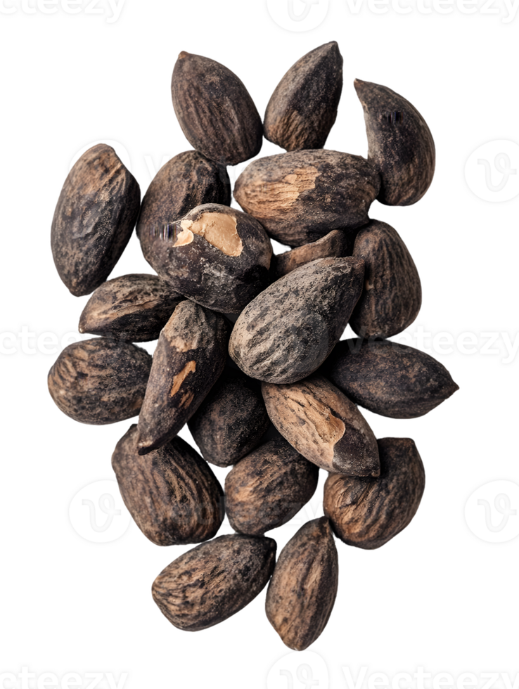 Dark Brown Textured Seeds png