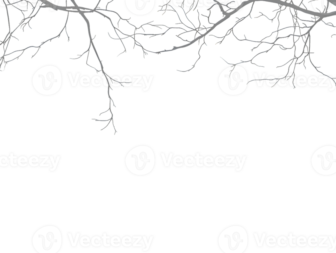 Intricate Bare Branches png