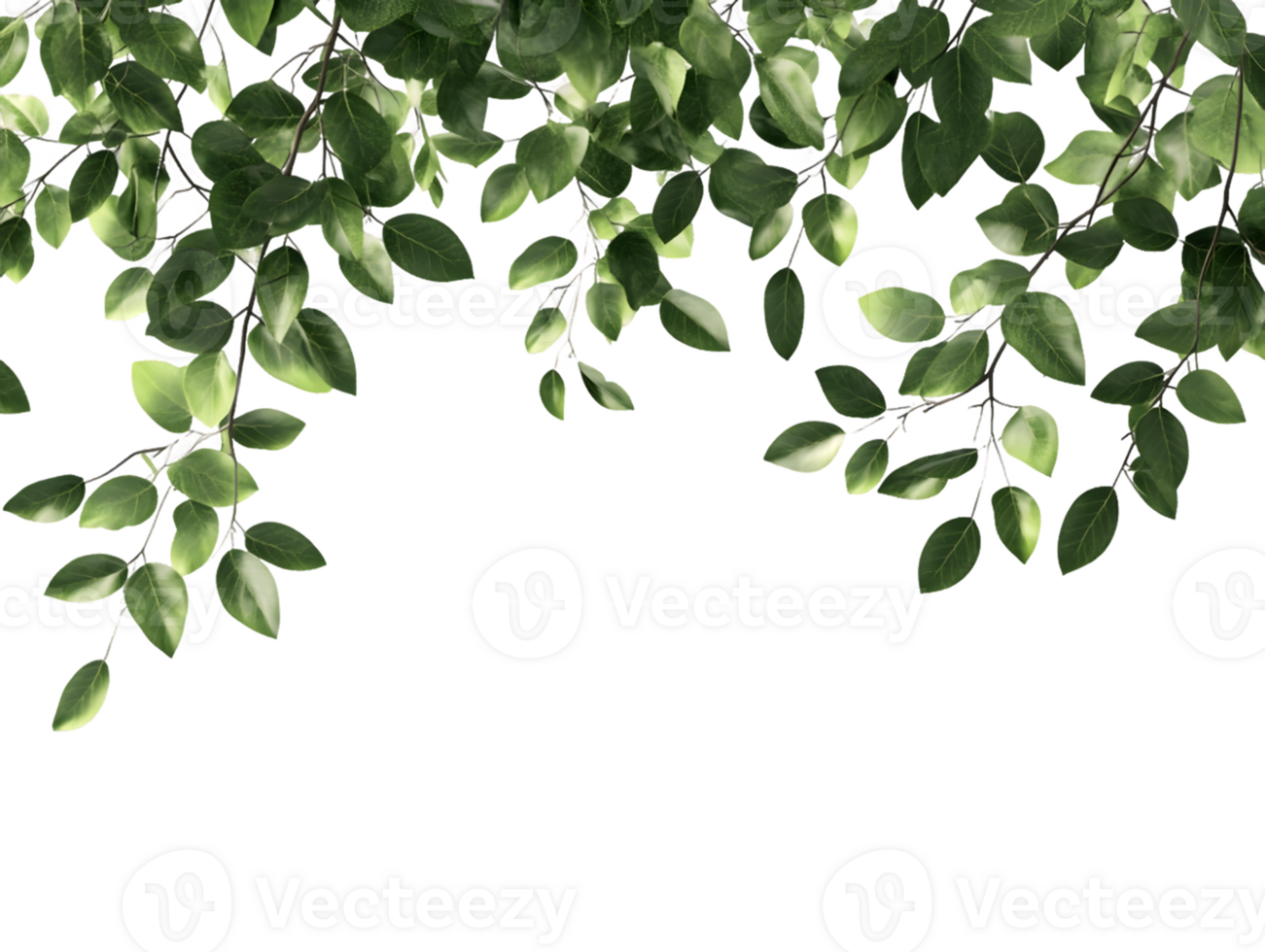 Lush Green Foliage Hanging From Branch png