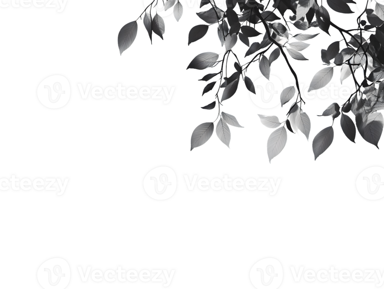 Monotone Leaves A Study in Texture and Shadow png