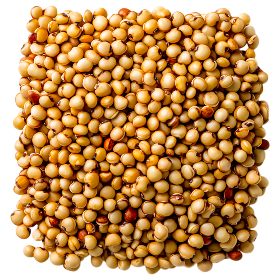 Close-Up of Raw Quinoa Grains png