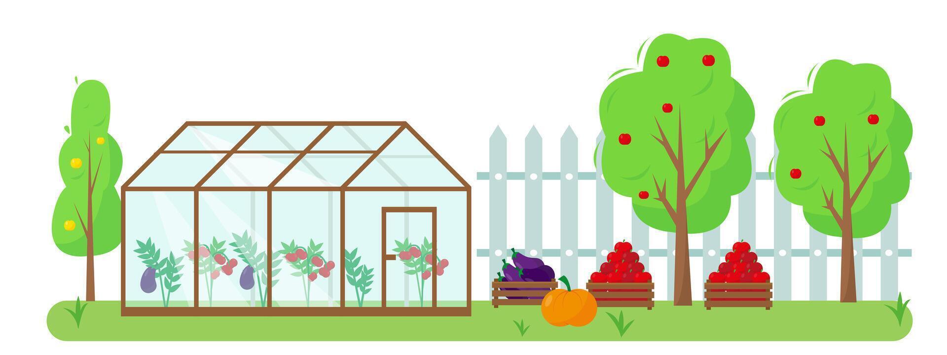 Vegetables , fruits and greenhouse in the garden. vector