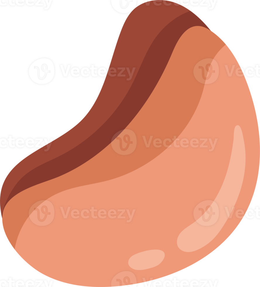 Stylized Illustration of a Peanut cookies png
