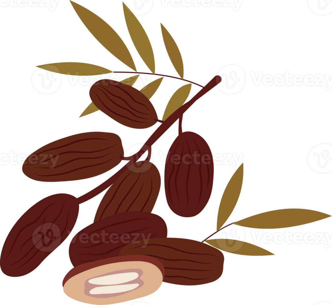 Illustration of Dates and Leaves png