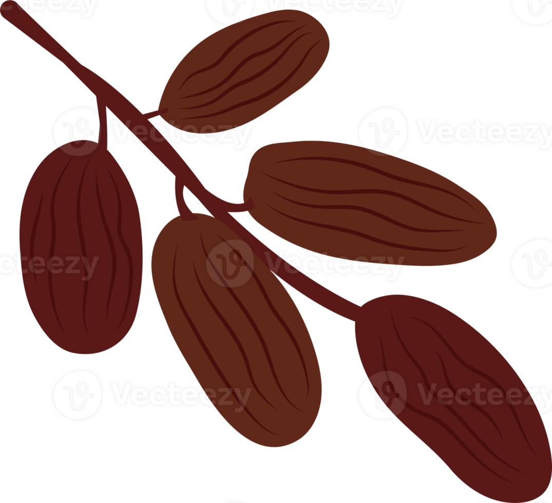 Illustration of Dates on a Branch png