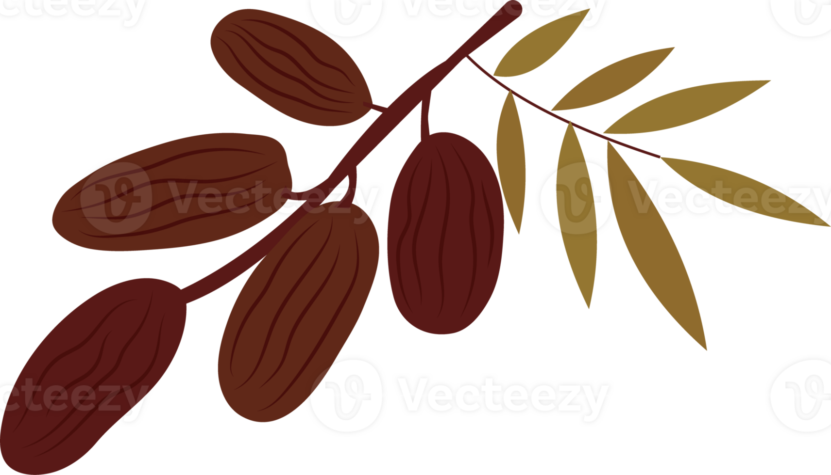 Dates Branch Illustration with Leaves png