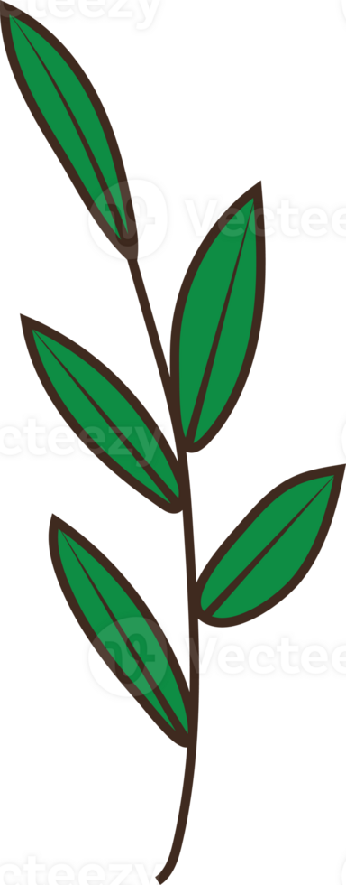 Illustration of Green Leaves on a Branch png