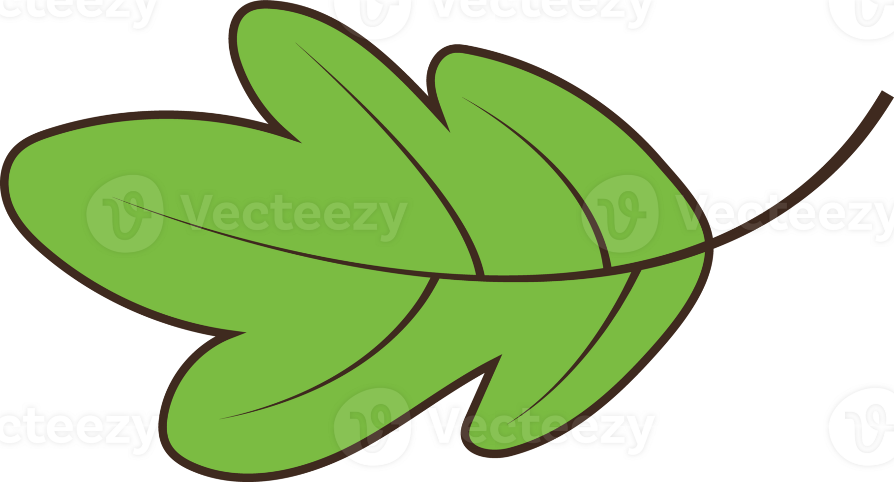 Cute Green Leaf Illustration png